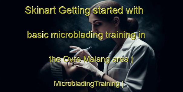 Skinart Getting started with basic microblading training in the Ovre Malang area | MicrobladingTraining | MicrobladingClasses | SkinartTraining-Sweden